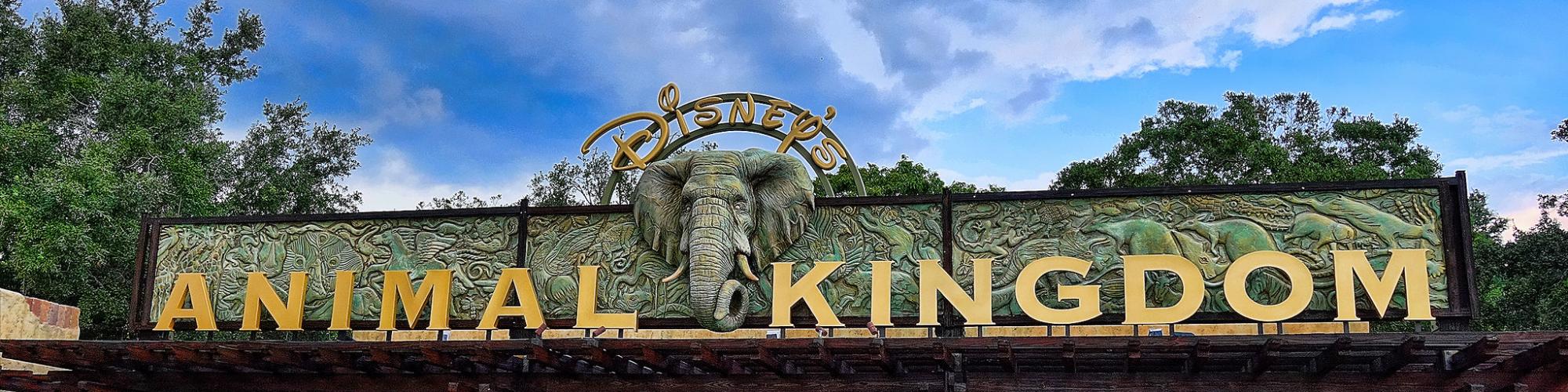Ticketing at Animal Kingdom