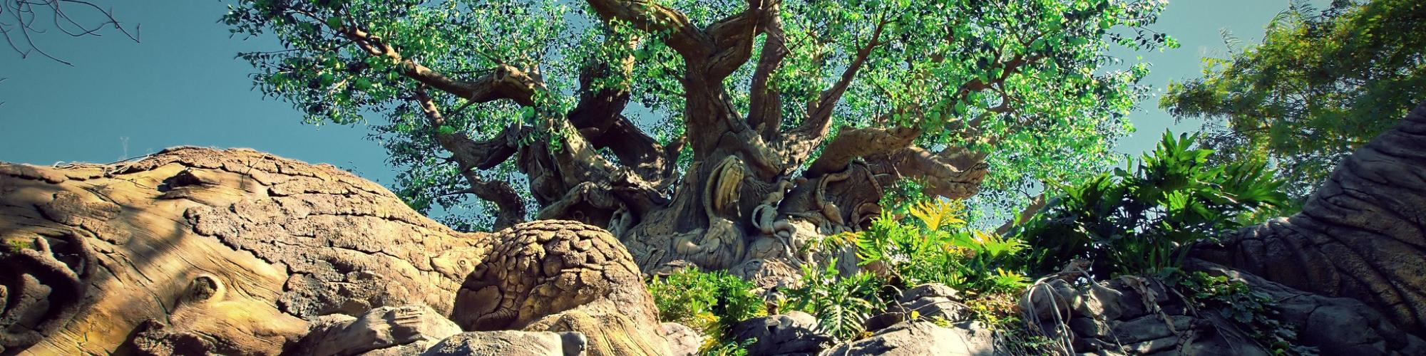 Disney's Animal Kingdom - Tree of Life