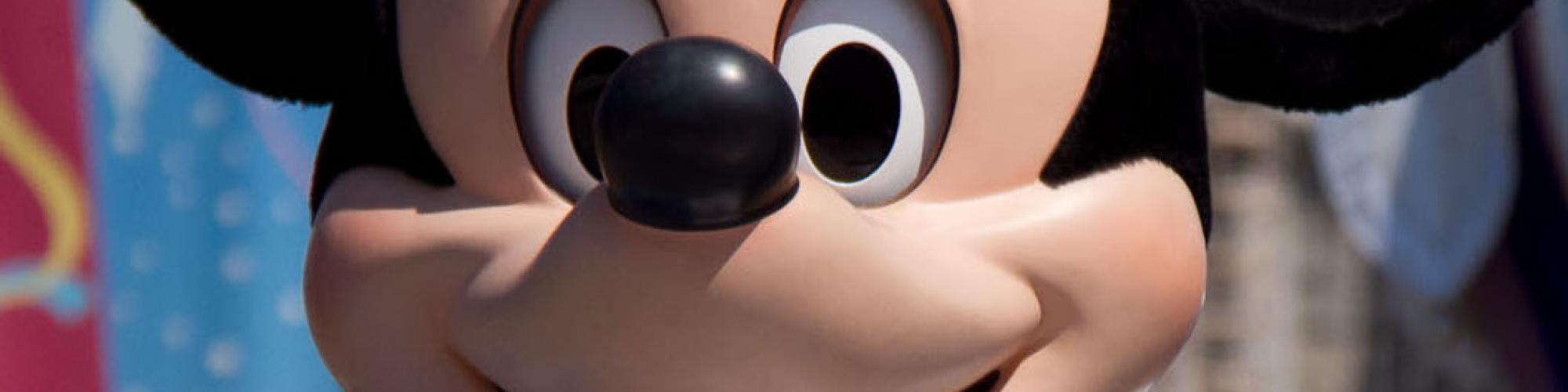 Mr Mouse