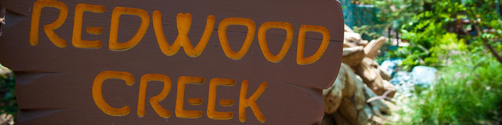 Redwood Creek Challenge Trail